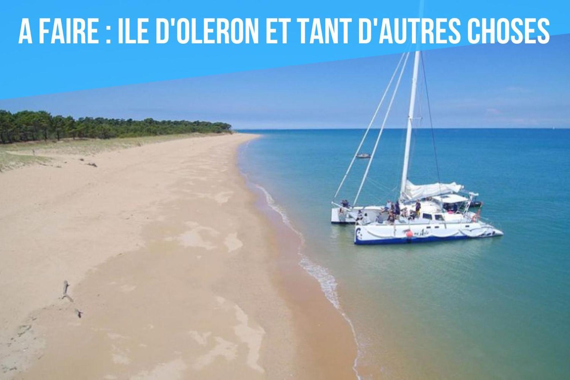 Caporizon-Le Perot-T2 Au Coeur Du Vieux Port 100M Plage La Rochelle  Eksteriør bilde